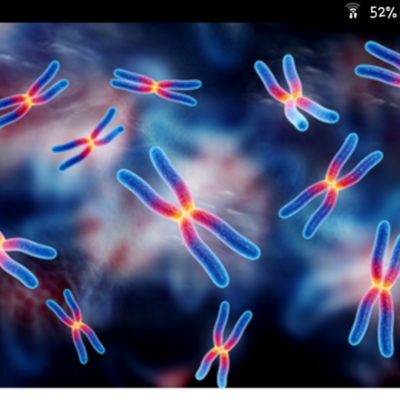 Timeline: Que es la carga genetica