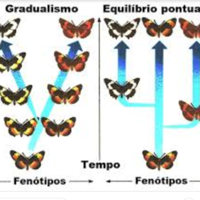 Timeline: Quien es el padre de la genetica