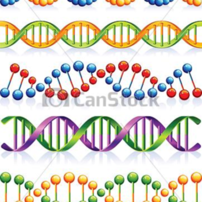 Timeline: Quien y como se descubrió la genética