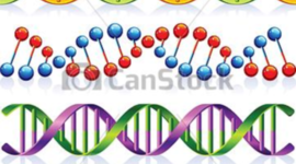 Timeline: Quien y como se descubrió la genética