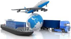 Timeline: organigrama QUIREXPO