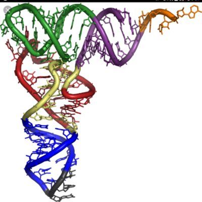 Timeline: Que es un gen y como surge