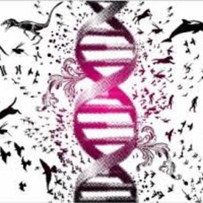 Timeline: Evolución De La Genética.