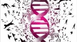 Timeline: Evolución De La Genética.