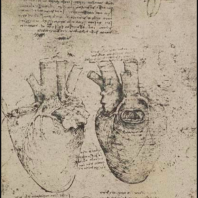 Timeline: Timeline of Cardiology