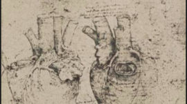 Timeline: Timeline of Cardiology