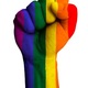 Gay pride fist small