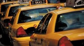 Timeline: OMG THE BEST VACATION EVER