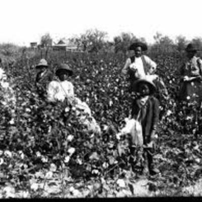 Timeline: History 1800-1876