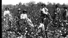 Timeline: History 1800-1876