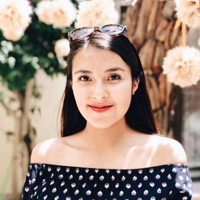 Timeline: Mi Linea del Tiempo Diana Laura