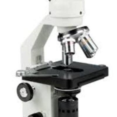 Timeline: History of Microscopes