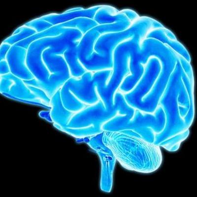 Timeline: Tema 1. Tro og videnskab