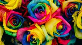 Timeline: LGBTQ+ Rights