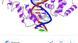 Timeline: La evolución de la genetica humana