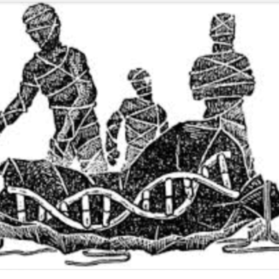 Timeline: Genetica y evolucion