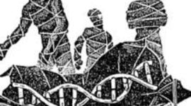 Timeline: Genetica y evolucion