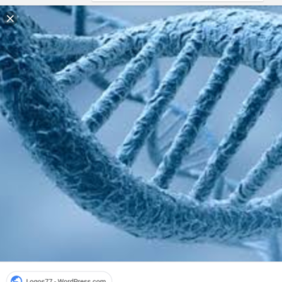 Timeline: Quien estudio la genetica