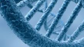 Timeline: Quien estudio la genetica