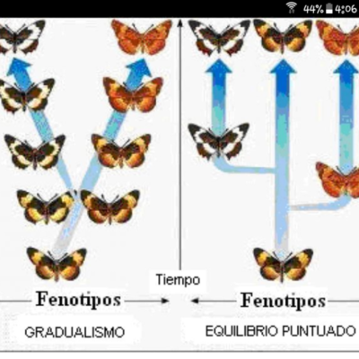 Timeline: Las tres leyes de la genetica