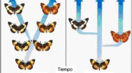 Timeline: Las tres leyes de la genetica