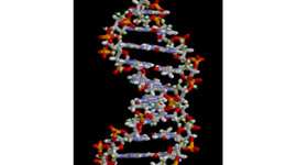Timeline: Genética celular