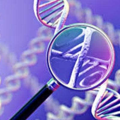 Timeline: La genetica