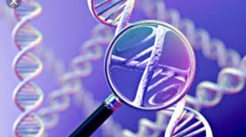 Timeline: La genetica