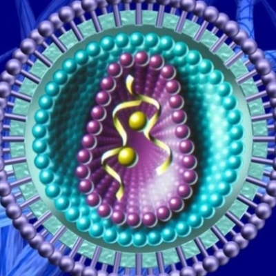 Timeline: La genetica