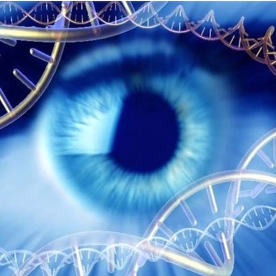 Timeline: La genetica