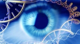 Timeline: La genetica