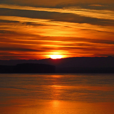 Timeline: My Multimedia Memoir