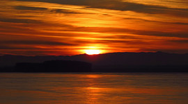 Timeline: My Multimedia Memoir