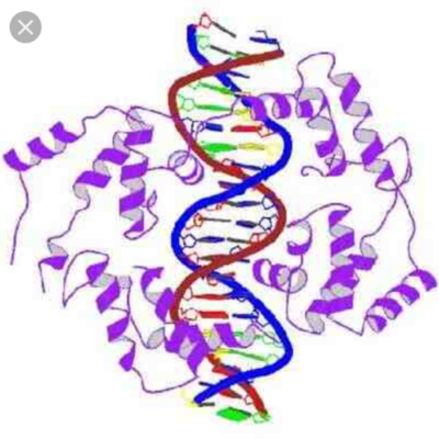 Timeline: La evolución de la genetica