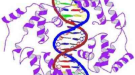 Timeline: La evolución de la genetica