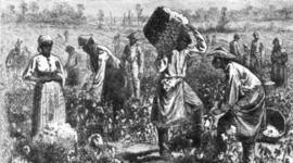 Timeline: American Slavery