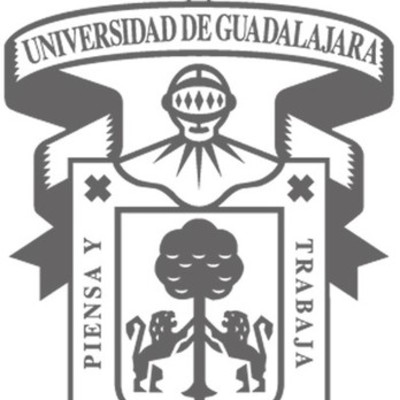 Timeline: Responsabilidades del asesor  del BGAI