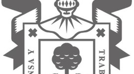 Timeline: Responsabilidades del asesor  del BGAI