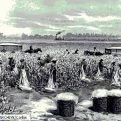 Timeline: Slavery in the United States