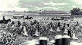 Timeline: Slavery in the United States