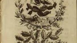 Timeline: Evolución de la Administración Pública Federal