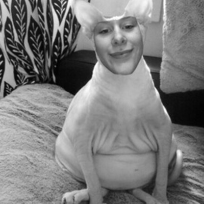 Timeline: Ckv tijdlijn