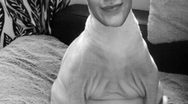 Timeline: Ckv tijdlijn