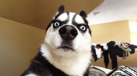 Timeline: timeline 3er trimestre deyanira