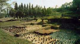 Timeline: Le terme di Velleia