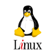 Linux logo 2