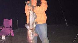 Timeline: Cuanto tiempo hace que