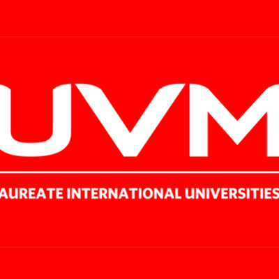 Timeline: Dirección mkt line