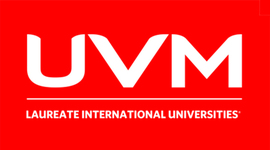 Timeline: Dirección mkt line