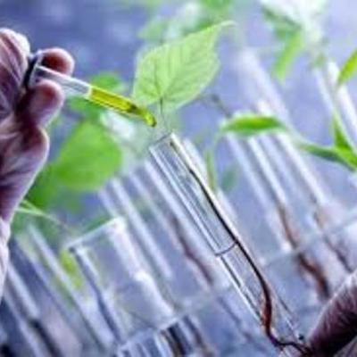 Timeline: Evolucion De La Biotecnologia